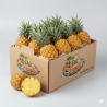 Ananas Victoria - Ile de la Reunion - PEI Fruits Export